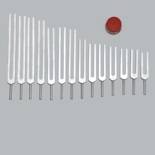 New 14 Pc Meridian Tuning Forks For Meredians & Organs-sound Healing Therapy