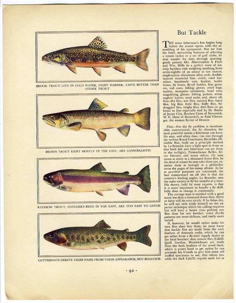 Fly Fishing Images Trout Color Fortune Magazine Dry N Wet Flies Frameable Pages
