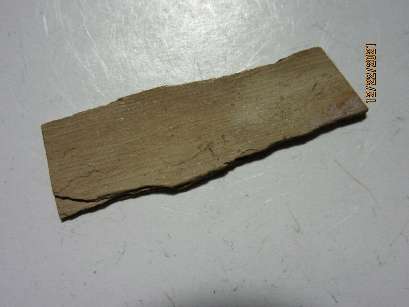 Mammoth Fossilized Tooth Bone Bark (fi-30) Rough Carving Reiki